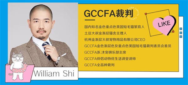 大唐娱乐官网-不凡成绩非凡,相信品牌的实力