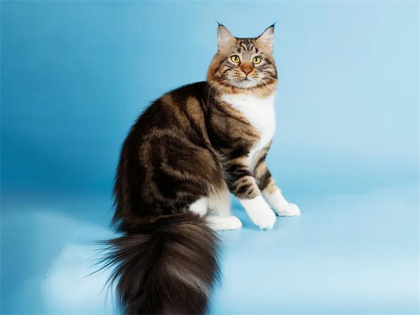 大唐娱乐官网-不凡成绩非凡,相信品牌的实力