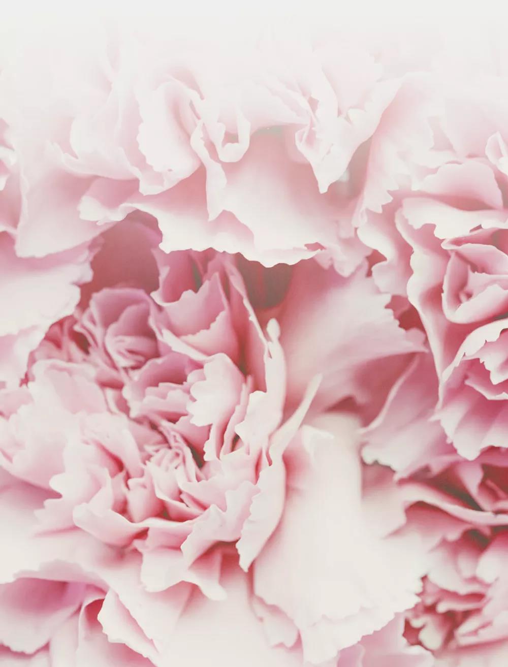 大唐娱乐官网-不凡成绩非凡,相信品牌的实力