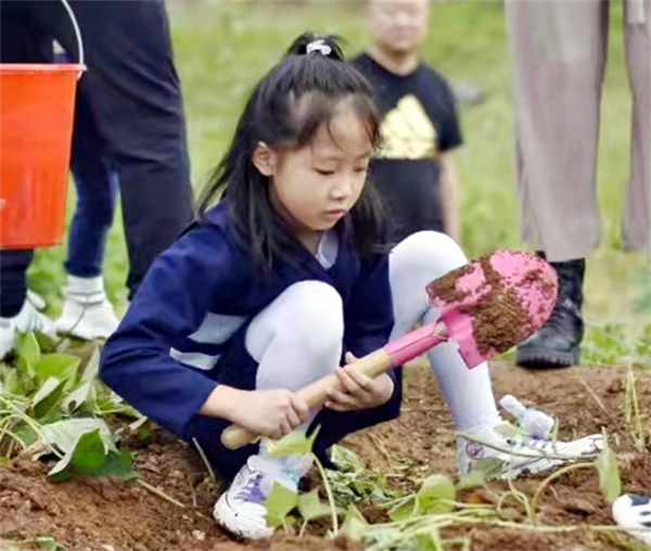 大唐娱乐官网-不凡成绩非凡,相信品牌的实力
