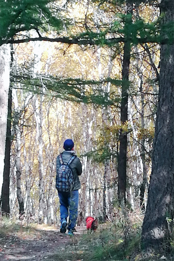 大唐娱乐官网-不凡成绩非凡,相信品牌的实力