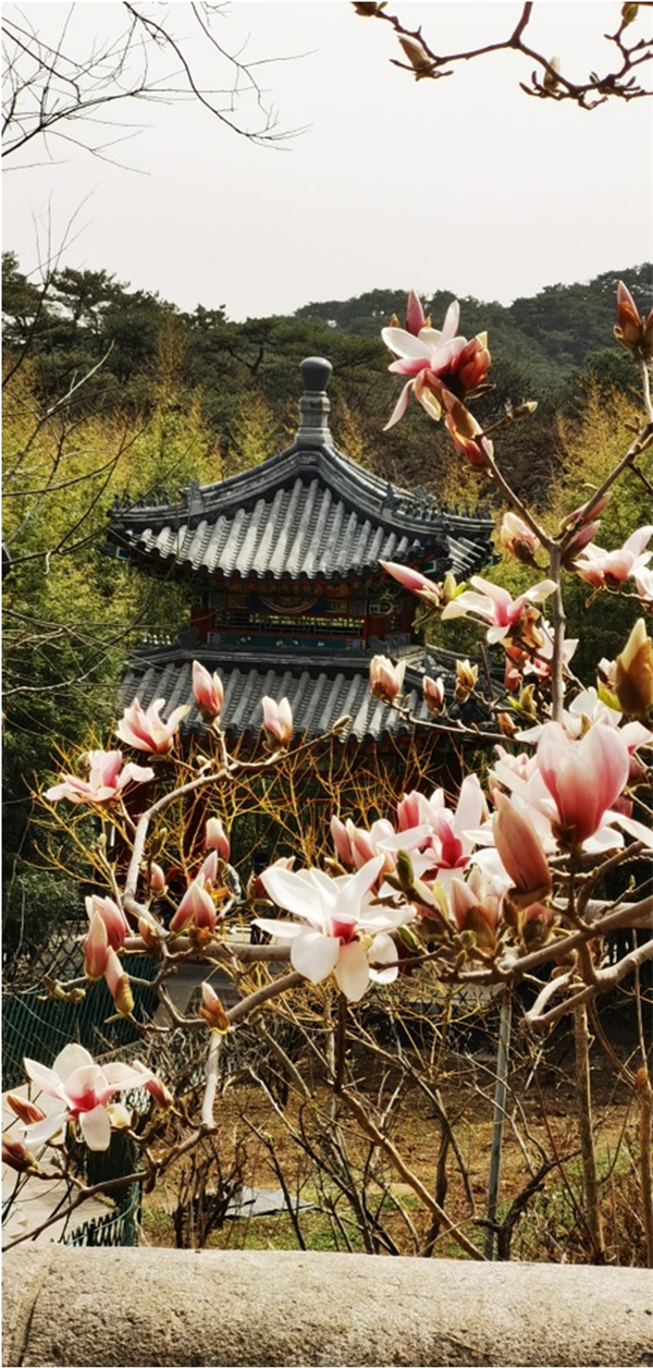 大唐娱乐官网-不凡成绩非凡,相信品牌的实力