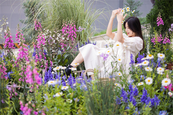 大唐娱乐官网-不凡成绩非凡,相信品牌的实力