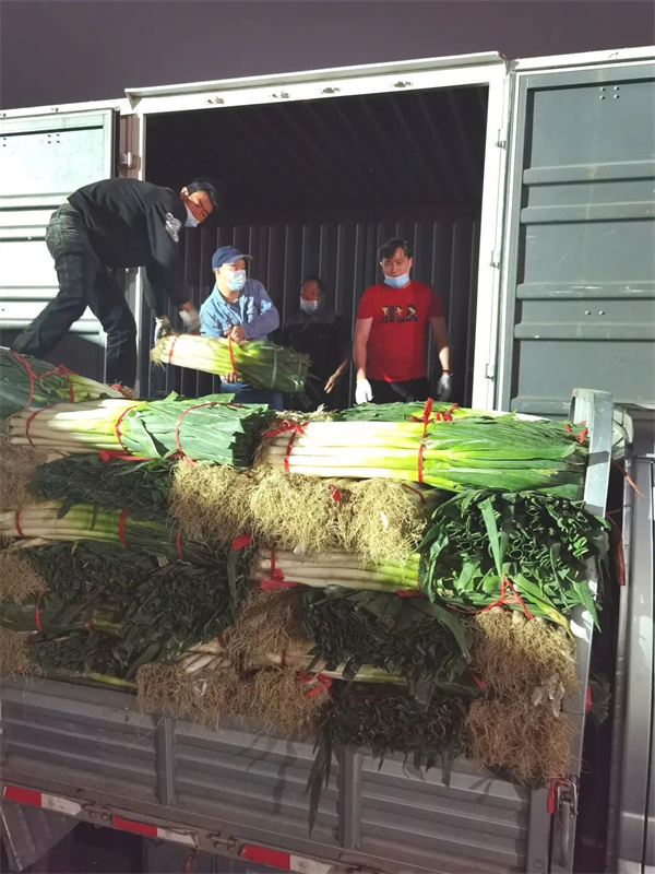 大唐娱乐官网-不凡成绩非凡,相信品牌的实力