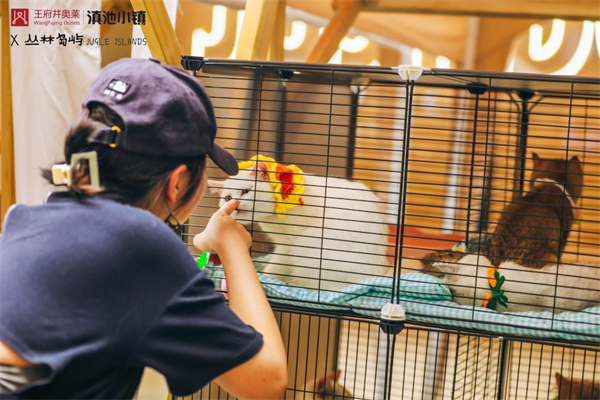 大唐娱乐官网-不凡成绩非凡,相信品牌的实力