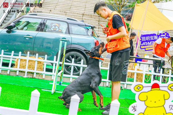 大唐娱乐官网-不凡成绩非凡,相信品牌的实力