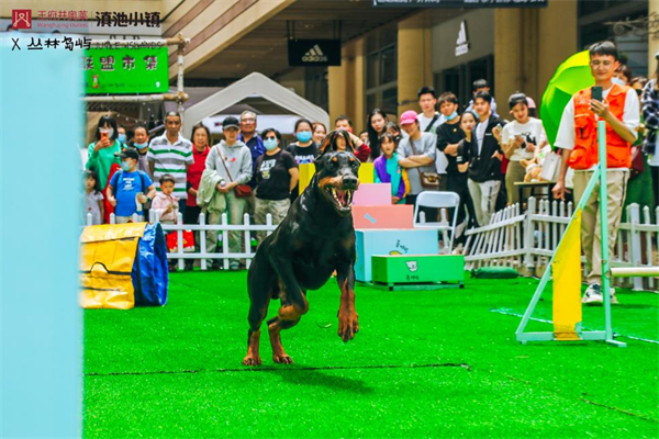 大唐娱乐官网-不凡成绩非凡,相信品牌的实力