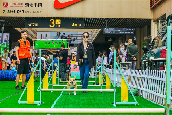 大唐娱乐官网-不凡成绩非凡,相信品牌的实力