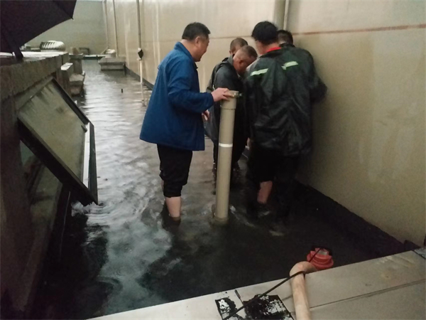 大唐娱乐官网-不凡成绩非凡,相信品牌的实力