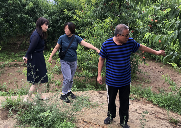 大唐娱乐官网-不凡成绩非凡,相信品牌的实力